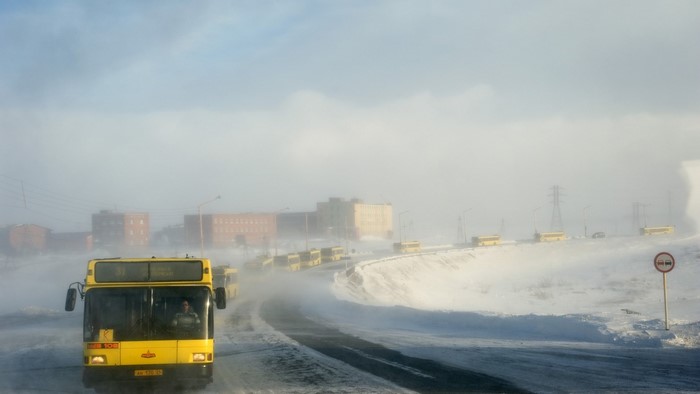 Yellow buses in Norilsk during a snowstorm