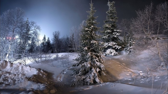 Snowy forest at night with artificial lighting