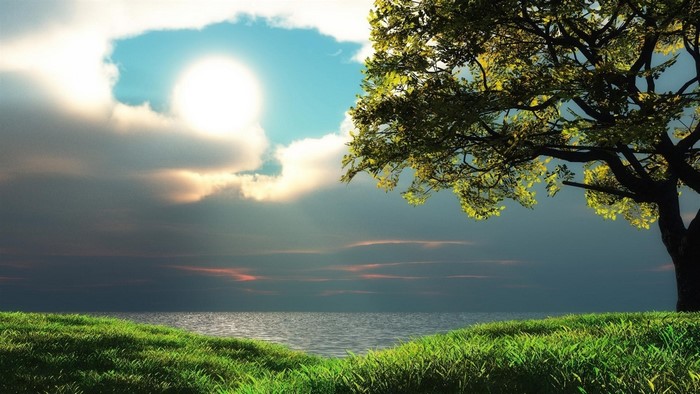 Sunlit clouds over ocean with tree and grass