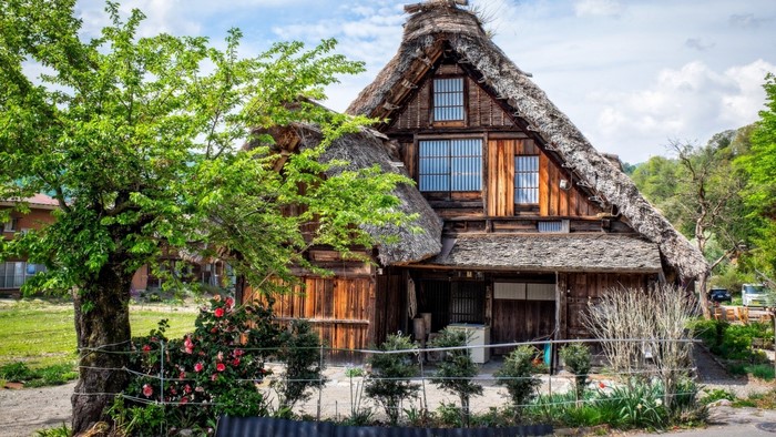 Traditional Japanese Gassho-zukuri house with thatched roof