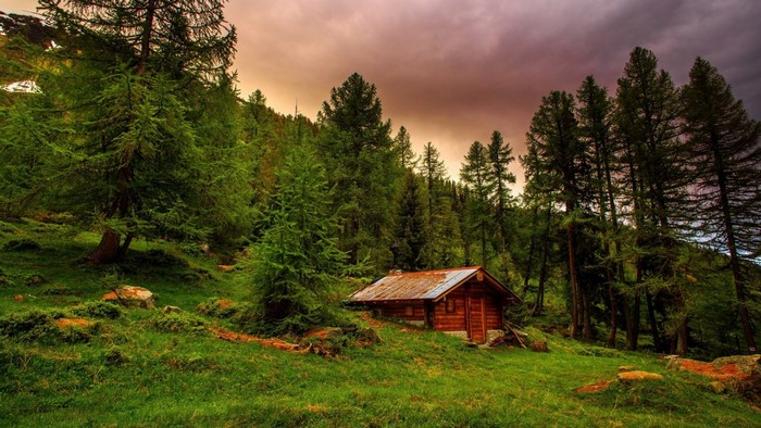 Wooden cabin in a green mountain forest