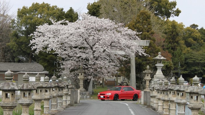 Red Nissan car parked near cherry blossoms and stone lanterns