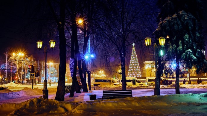 Christmas tree and streetlights in Voronezh at night