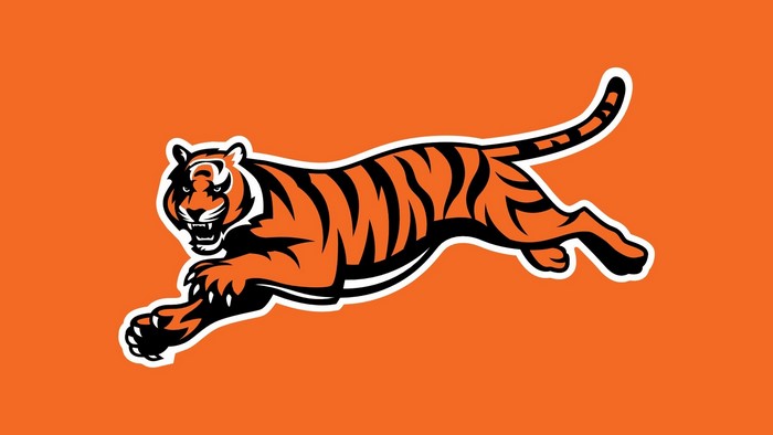 Tiger mascot running