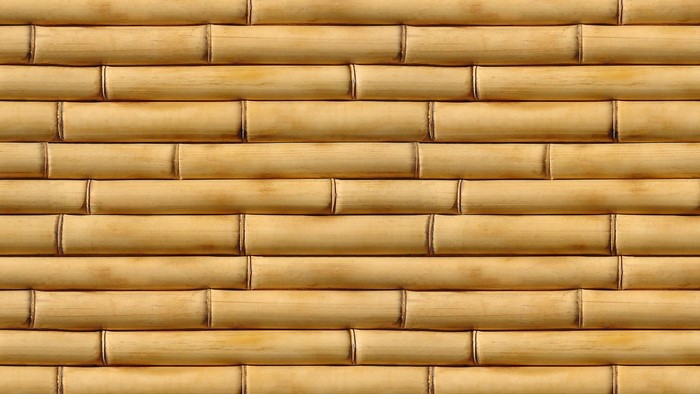 Bamboo Pattern