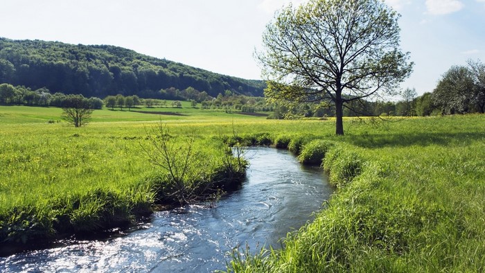 River flowing through a green meadow with trees and hills