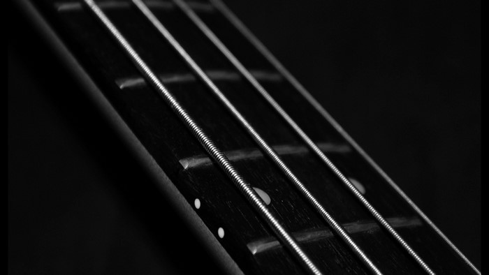 Bass guitar strings on fretboard