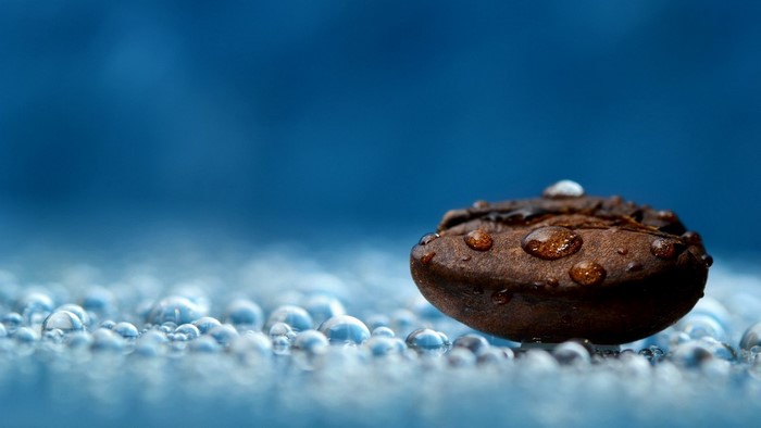 Coffee bean with water drops on blue background