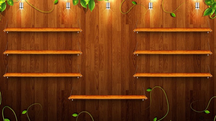 Wooden shelves with hanging plants and lights