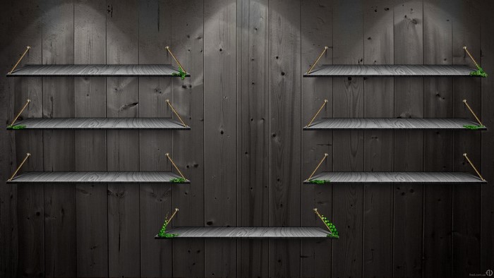 Wooden shelves with hanging ropes and vines