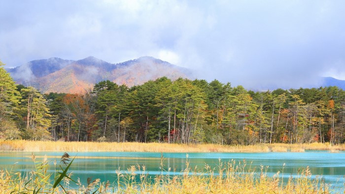 Autumn forest and lake with cloudy mountains