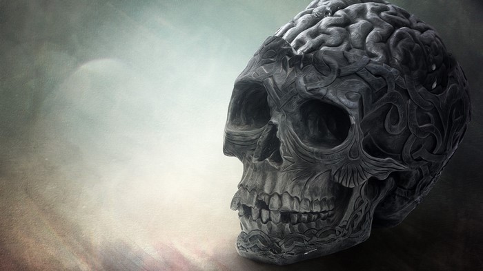 Carved Skull with Brain Detail