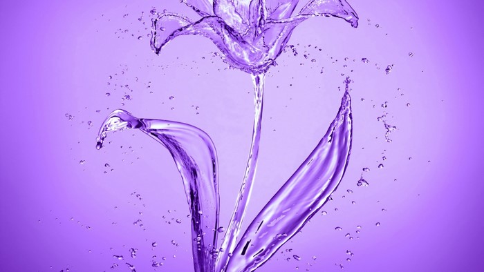 Purple water flower splash