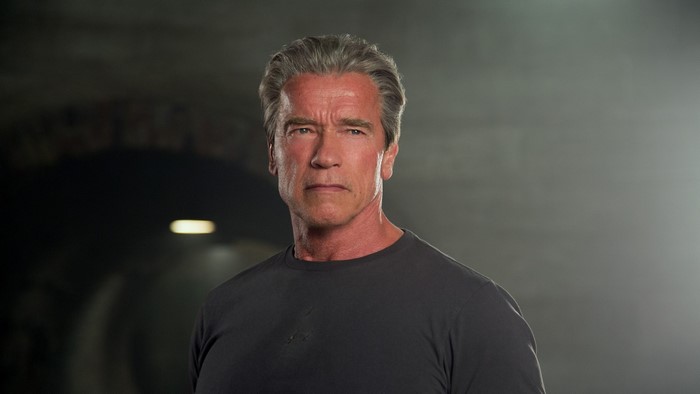 Arnold Schwarzenegger from Terminator Genisys