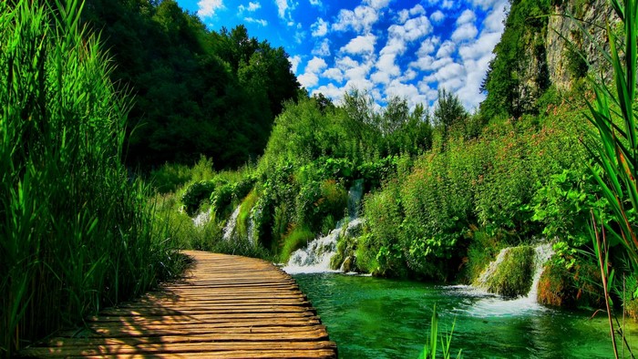 Wooden bridge over a stream with waterfalls