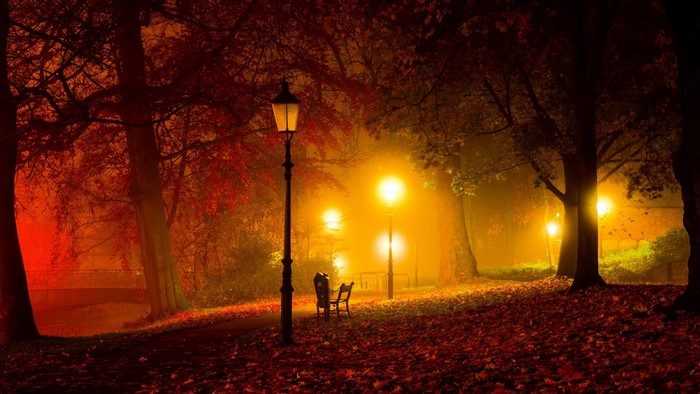 Park at night with streetlights and autumn leaves