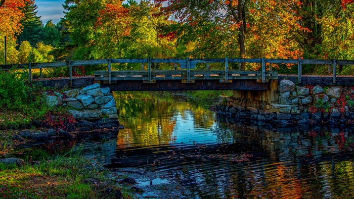 Wooden bridge over a stream in autumn