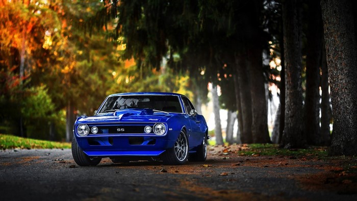 Blue Chevrolet Camaro SS parked on a road