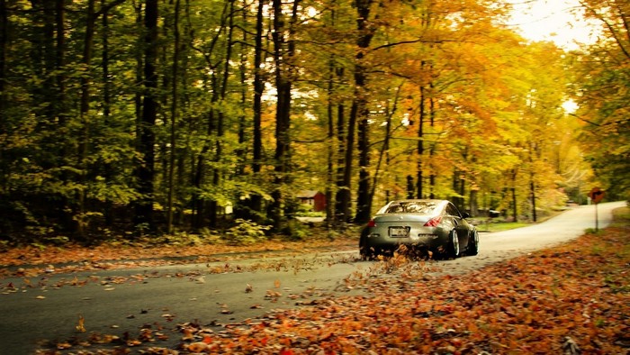 Nissan driving on a leaf-covered road in autumn