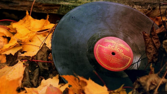 Vinyl record among autumn leaves