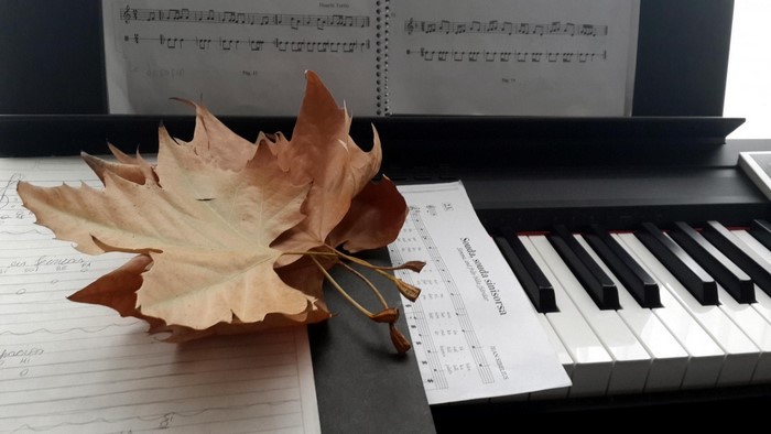 Dry leaves on a digital piano with sheet music