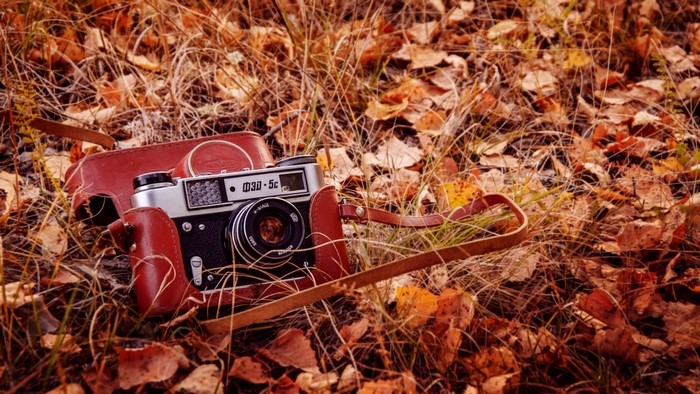 Vintage camera with leather case on autumn leaves