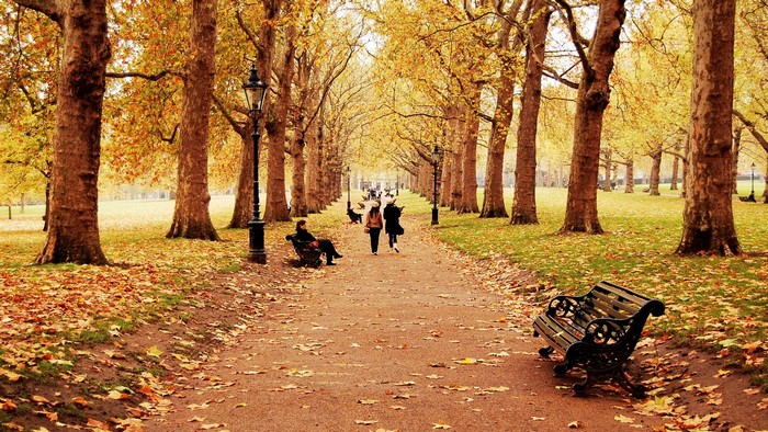 Autumn park path with people and benches