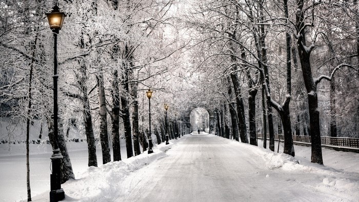 Snowy park path with trees and lampposts