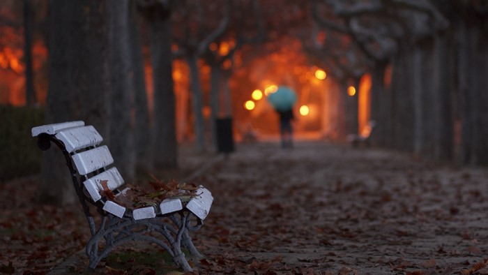 Park bench in autumn with blurred background lights