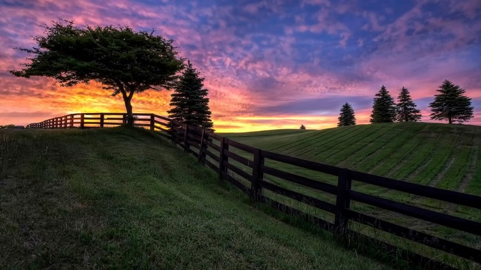 Rural landscape with fence and trees at sunset