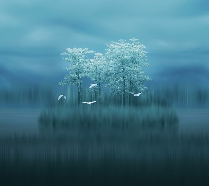 Huawei Mate 10, Birds, Stock, Lake, Blurred, Trees