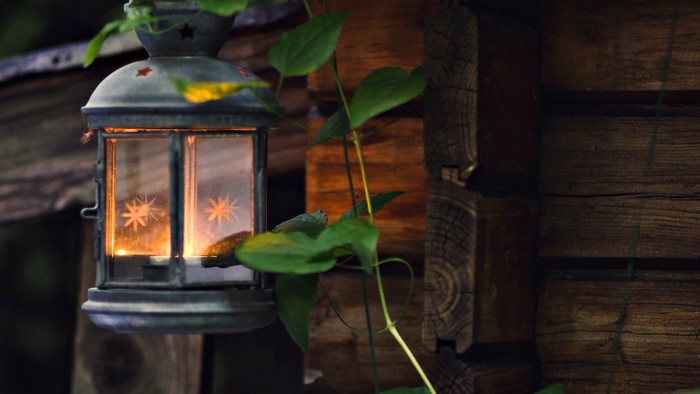 Lantern with star pattern and vine