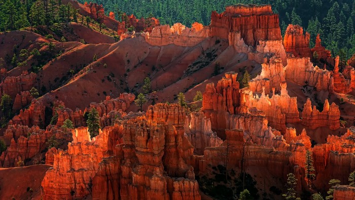 Bryce Canyon Hoodoos at Sunset