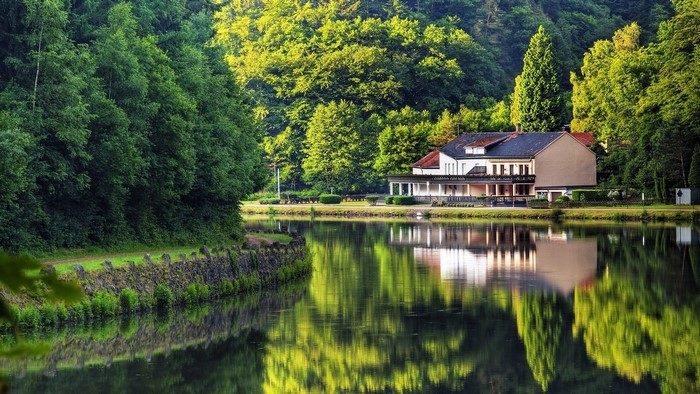 Lakefront house surrounded by lush green trees