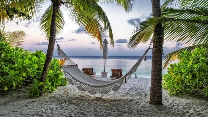 Hammock on a tropical beach at sunset