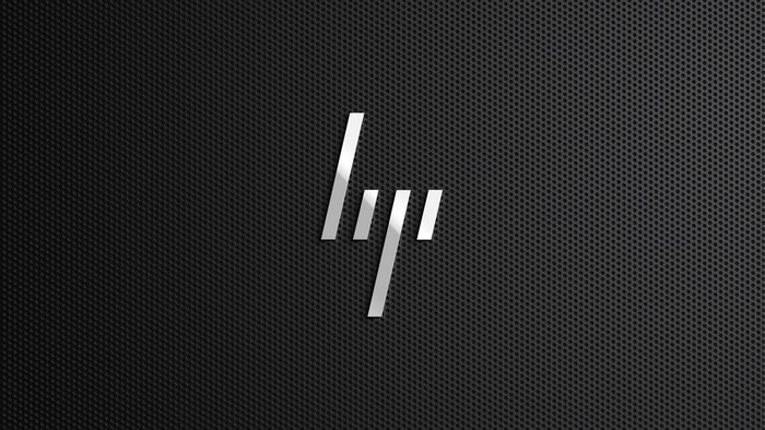 HP Logo on Black Mesh