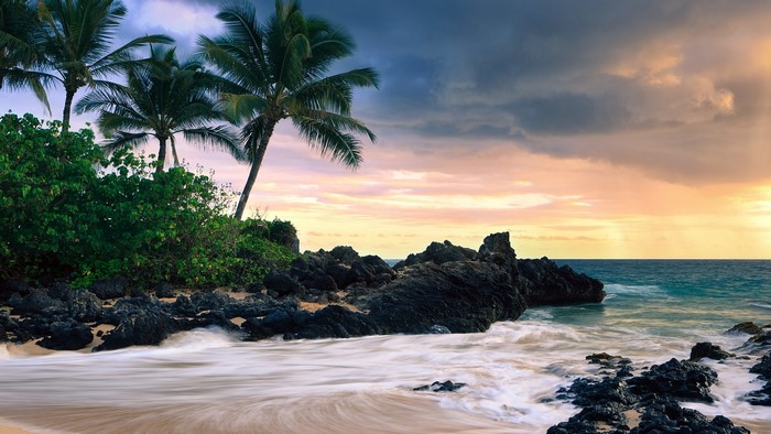 Hawaii Secret Beach with Palm Trees and Rocks