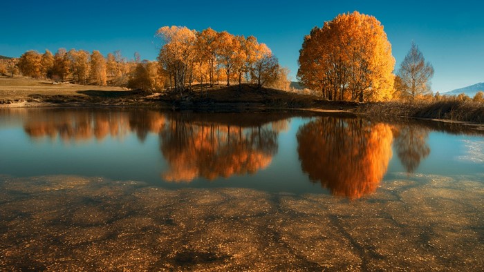 Yellow Autumn Trees Reflecting in Lake