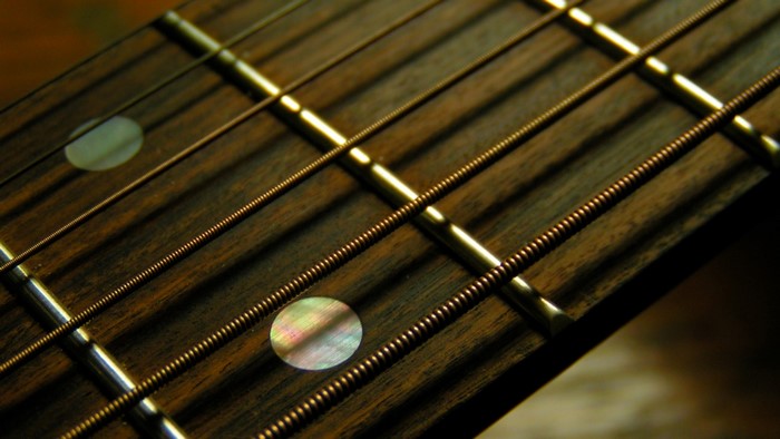 Close up of a guitar neck with strings and frets