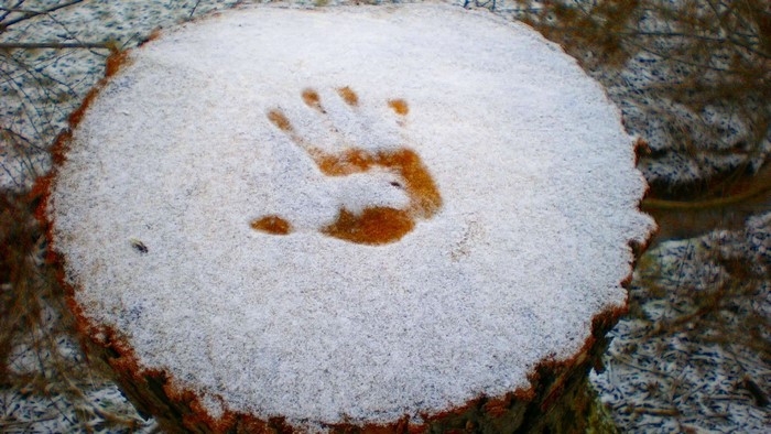 Handprint in Snow on Tree Stump