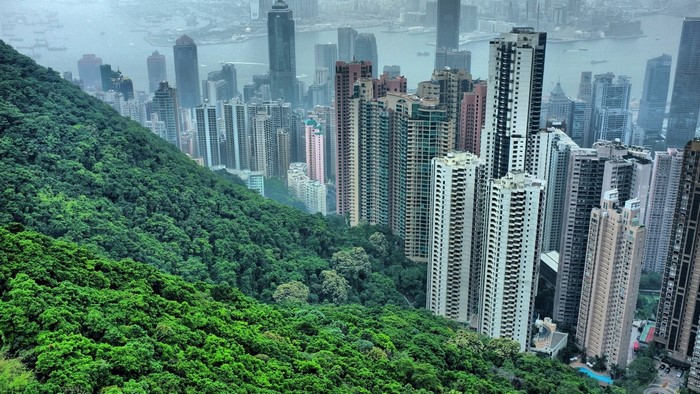 Hong Kong mountainside with skyscrapers and forest
