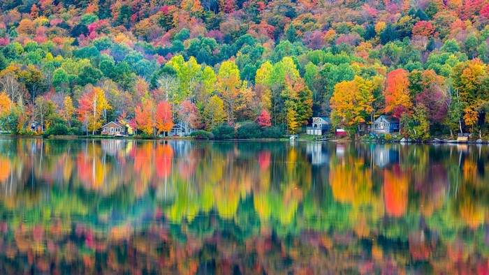 Colorful autumn trees reflected in a lake with houses