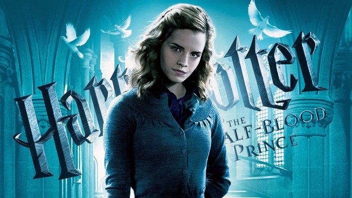 Hermione Granger from Harry Potter and the Half-Blood Prince