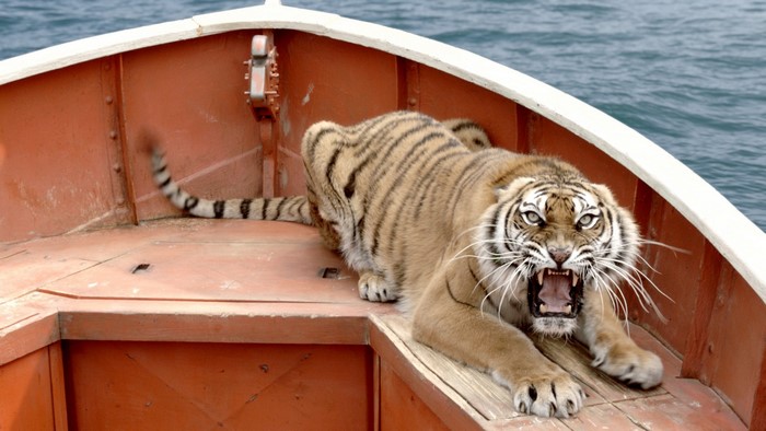 Angry Tiger on a Boat