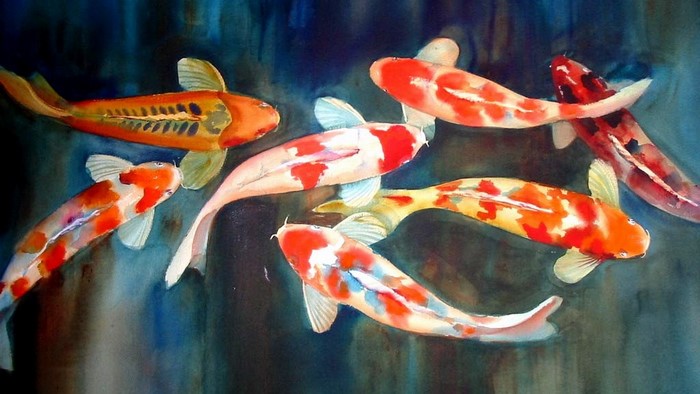 Watercolor painting of Koi fish