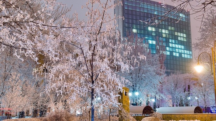 Donetsk in winter with snow-covered trees and illuminated building