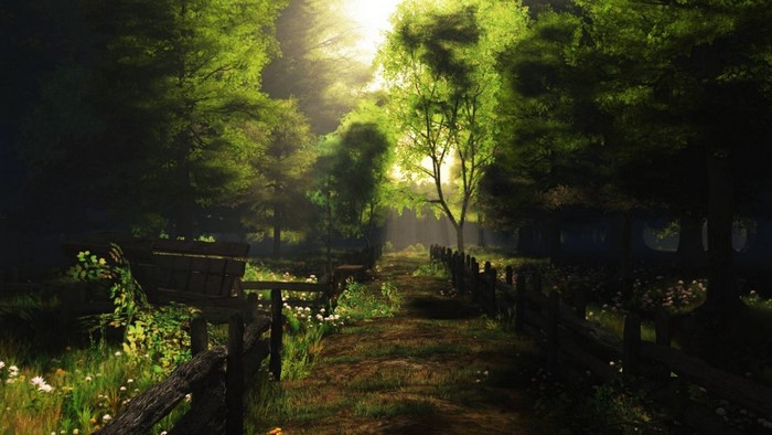 Sunlit forest path with wooden fence and bench