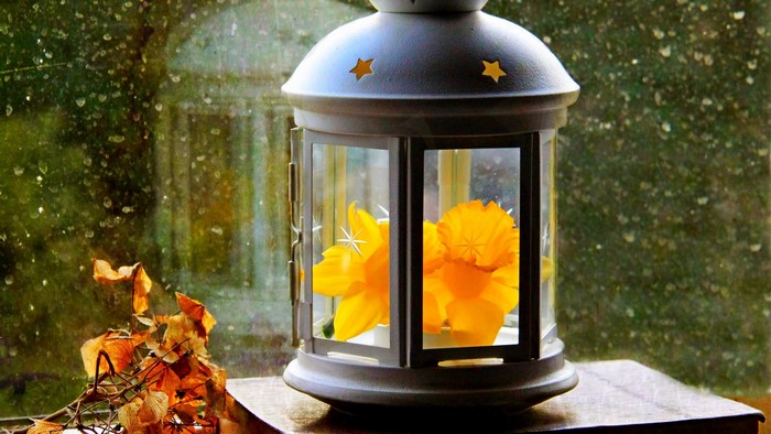 Lantern with yellow flowers and dried leaves