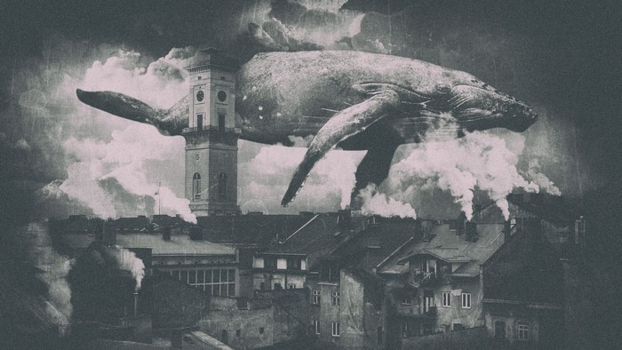 Whale flying over city with clock tower