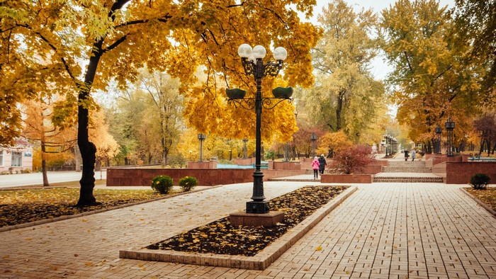 Autumn park with golden trees and a lamppost